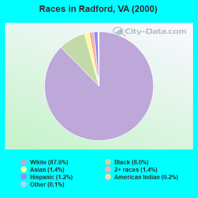 Races in Radford, VA (2000)