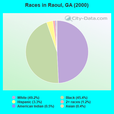 Races in Raoul, GA (2000)