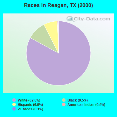 Races in Reagan, TX (2000)