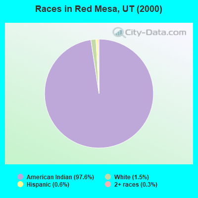Races in Red Mesa, UT (2000)