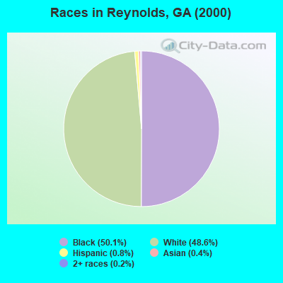 Races in Reynolds, GA (2000)