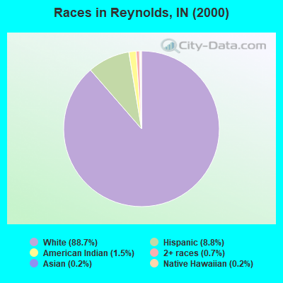 Races in Reynolds, IN (2000)