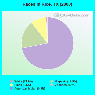 Races in Rice, TX (2000)