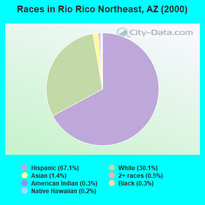 Races in Rio Rico Northeast, AZ (2000)