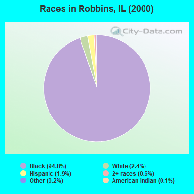 Races in Robbins, IL (2000)