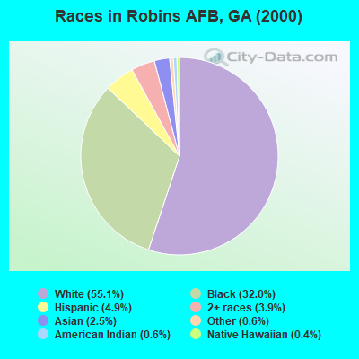 Races in Robins AFB, GA (2000)