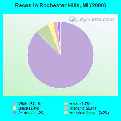 Races in Rochester Hills, MI (2000)