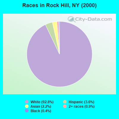 Races in Rock Hill, NY (2000)