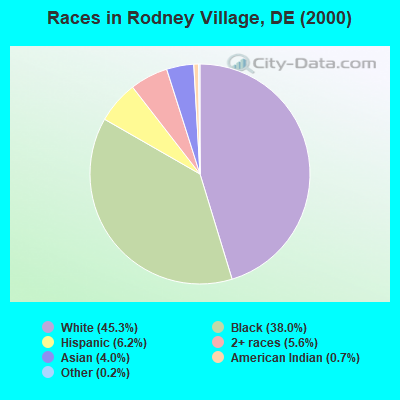 Races in Rodney Village, DE (2000)