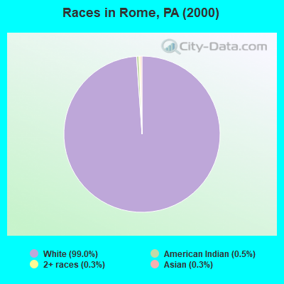 Races in Rome, PA (2000)