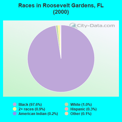 Races in Roosevelt Gardens, FL (2000)