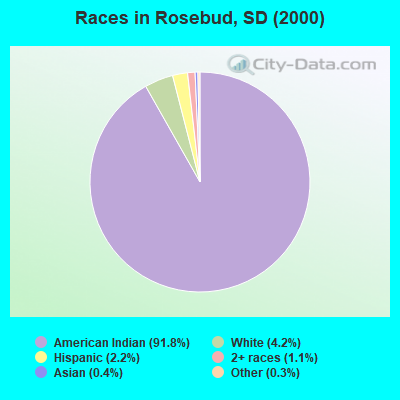 Races in Rosebud, SD (2000)
