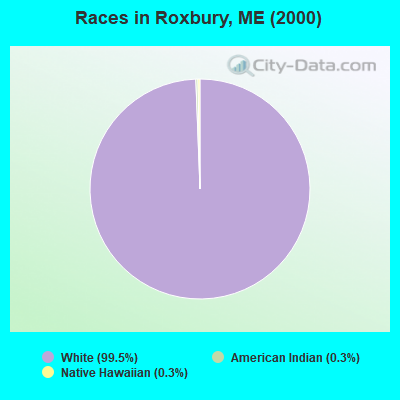 Races in Roxbury, ME (2000)