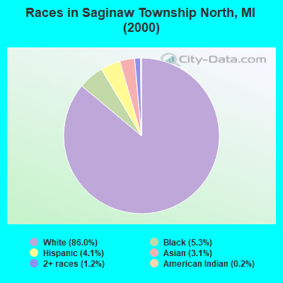 Races in Saginaw Township North, MI (2000)