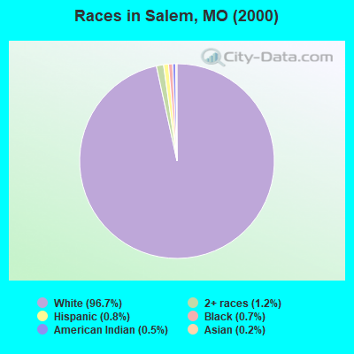 Races in Salem, MO (2000)