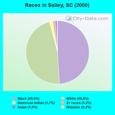 Races in Salley, SC (2000)