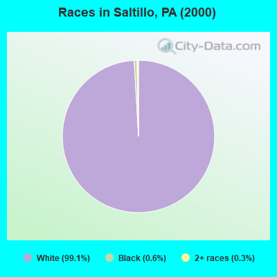 Races in Saltillo, PA (2000)