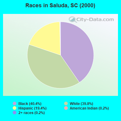 Races in Saluda, SC (2000)