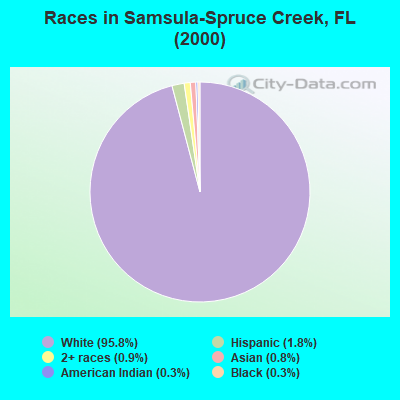 Races in Samsula-Spruce Creek, FL (2000)
