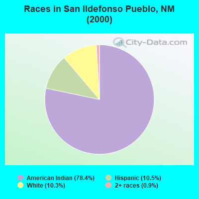 Races in San Ildefonso Pueblo, NM (2000)
