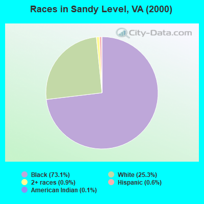 Races in Sandy Level, VA (2000)