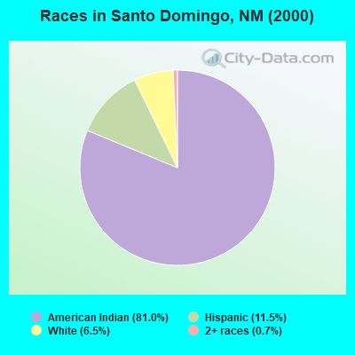 Races in Santo Domingo, NM (2000)