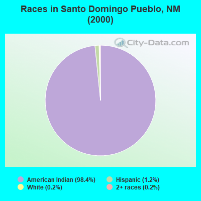 Races in Santo Domingo Pueblo, NM (2000)