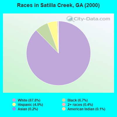 Races in Satilla Creek, GA (2000)