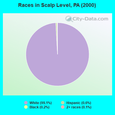 Races in Scalp Level, PA (2000)