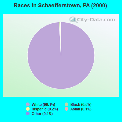 Races in Schaefferstown, PA (2000)