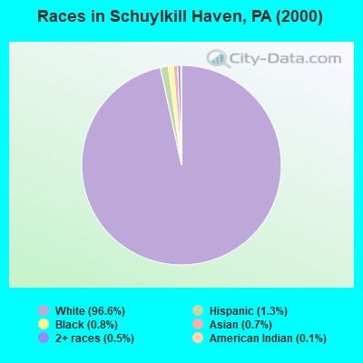 Races in Schuylkill Haven, PA (2000)