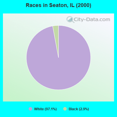 Races in Seaton, IL (2000)