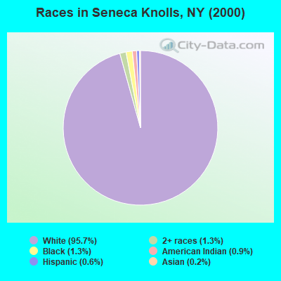 Races in Seneca Knolls, NY (2000)