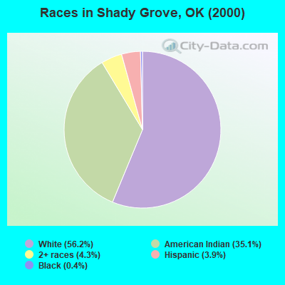 Races in Shady Grove, OK (2000)