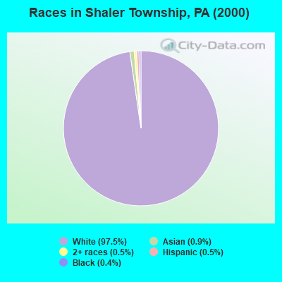 Races in Shaler Township, PA (2000)