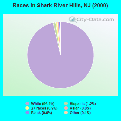Races in Shark River Hills, NJ (2000)