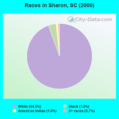 Races in Sharon, SC (2000)
