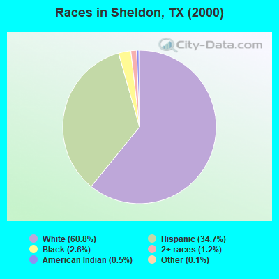 Races in Sheldon, TX (2000)
