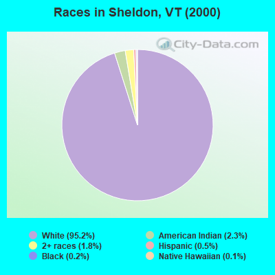 Races in Sheldon, VT (2000)