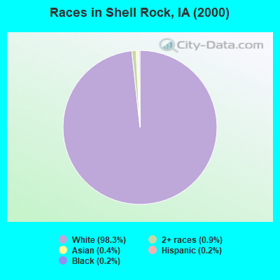 Races in Shell Rock, IA (2000)