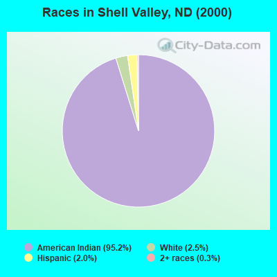 Races in Shell Valley, ND (2000)