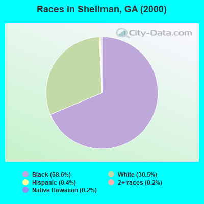 Races in Shellman, GA (2000)