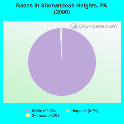 Races in Shenandoah Heights, PA (2000)