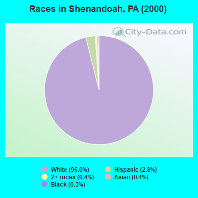 Races in Shenandoah, PA (2000)