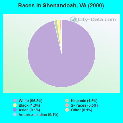 Races in Shenandoah, VA (2000)