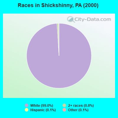 Races in Shickshinny, PA (2000)