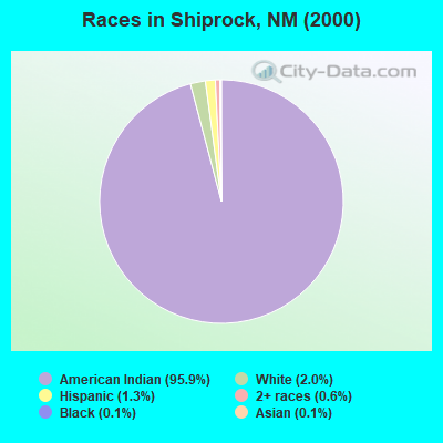 Races in Shiprock, NM (2000)