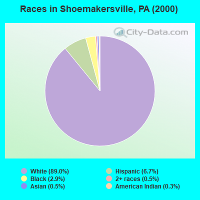 Races in Shoemakersville, PA (2000)