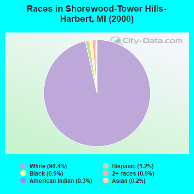 Races in Shorewood-Tower Hills-Harbert, MI (2000)