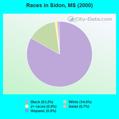 Races in Sidon, MS (2000)